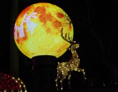 飛び立つトナカイ