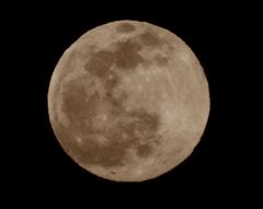 今晩のピンクムーン