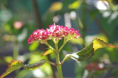 そろそろ出番です