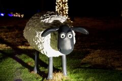 夜遊びはダメだよヒツジくん