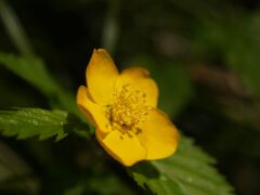 ひなたぼっこ２