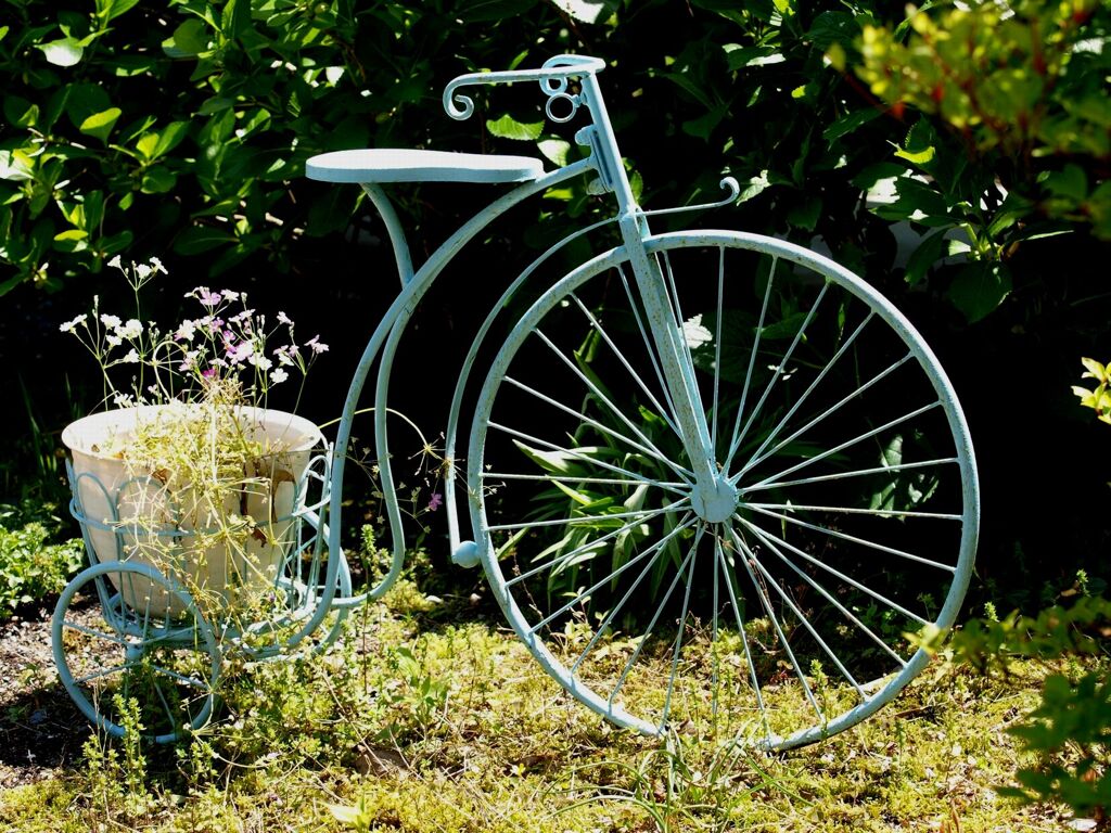 花は如何ですか？