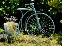 花は如何ですか？