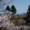 桜のある景色
