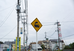 普段は気にならないけど