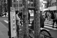 渋谷の交差点