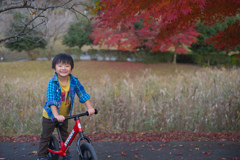 秋と自転車