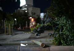 夜神社