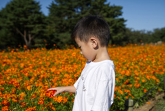 お花