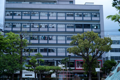 赤