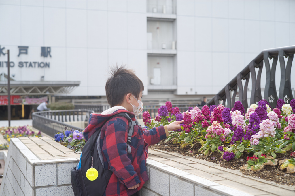 好きなお花は？