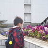 好きなお花は？