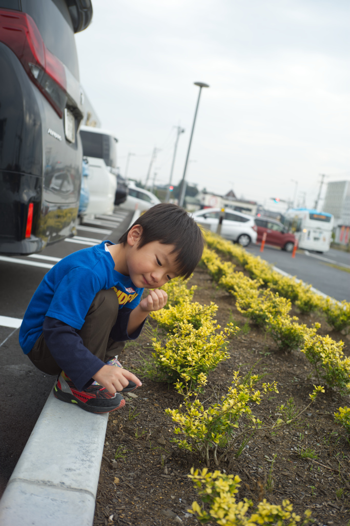 駐車場はな