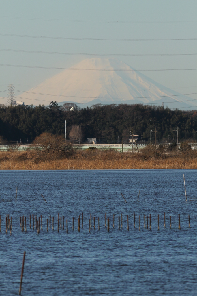 富士山