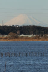 富士山