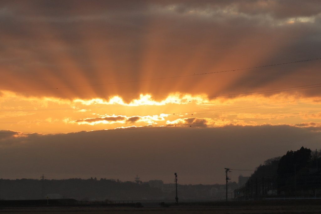 送電線が溶ける？