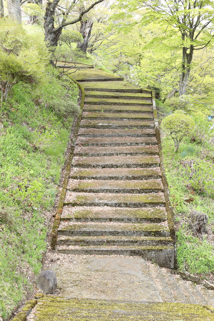 城址
