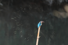 空振り