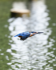 水平飛行