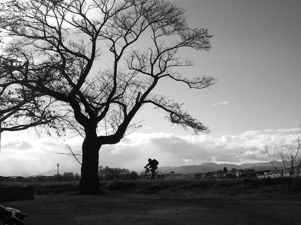 サイクリングの帰り