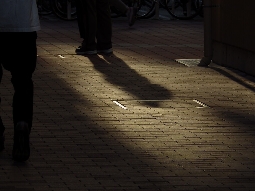 陰
