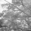電線がフニャフニャ