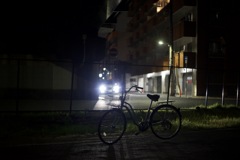 なかなか逆光が素敵…