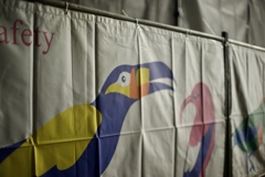 鳥さん達は働き者…