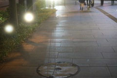 歩道