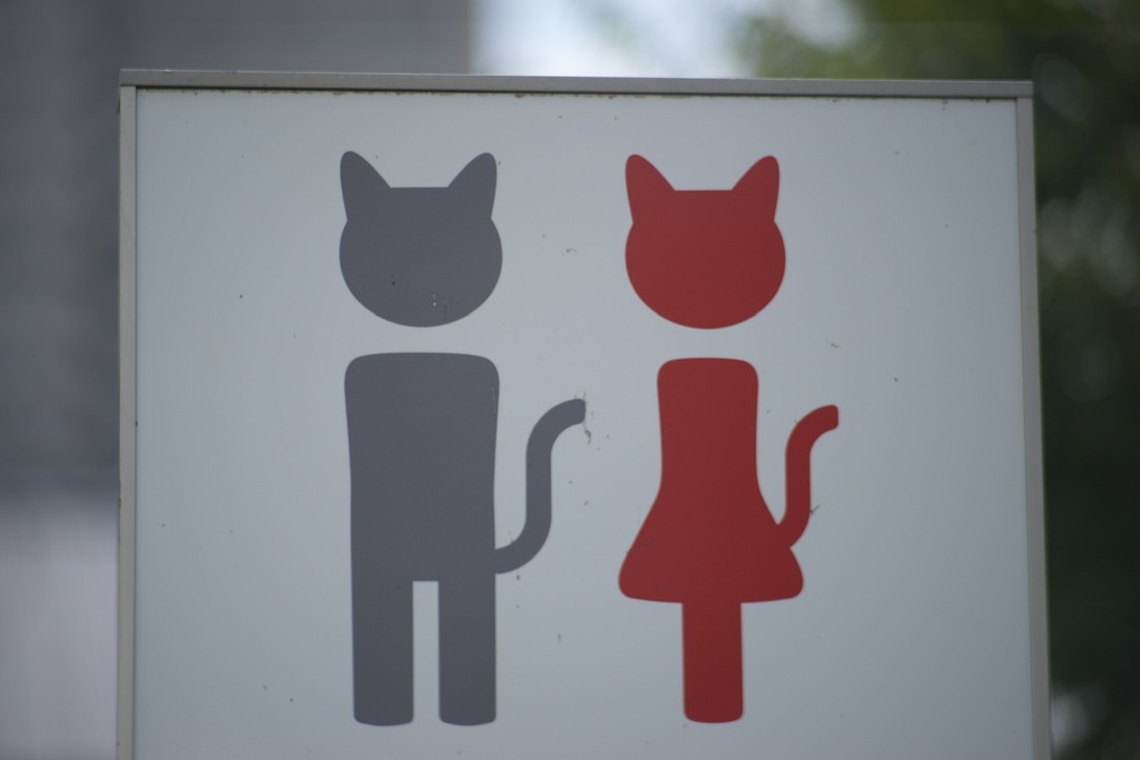 猫用か？