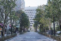 日本橋散歩