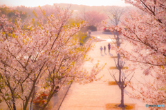春の夕暮れ