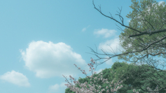 空