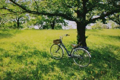 自転車