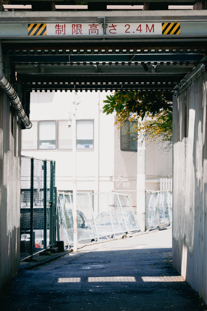untitled