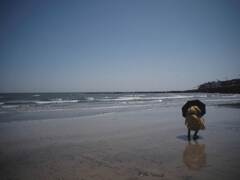 鎌倉、春の由比ヶ浜