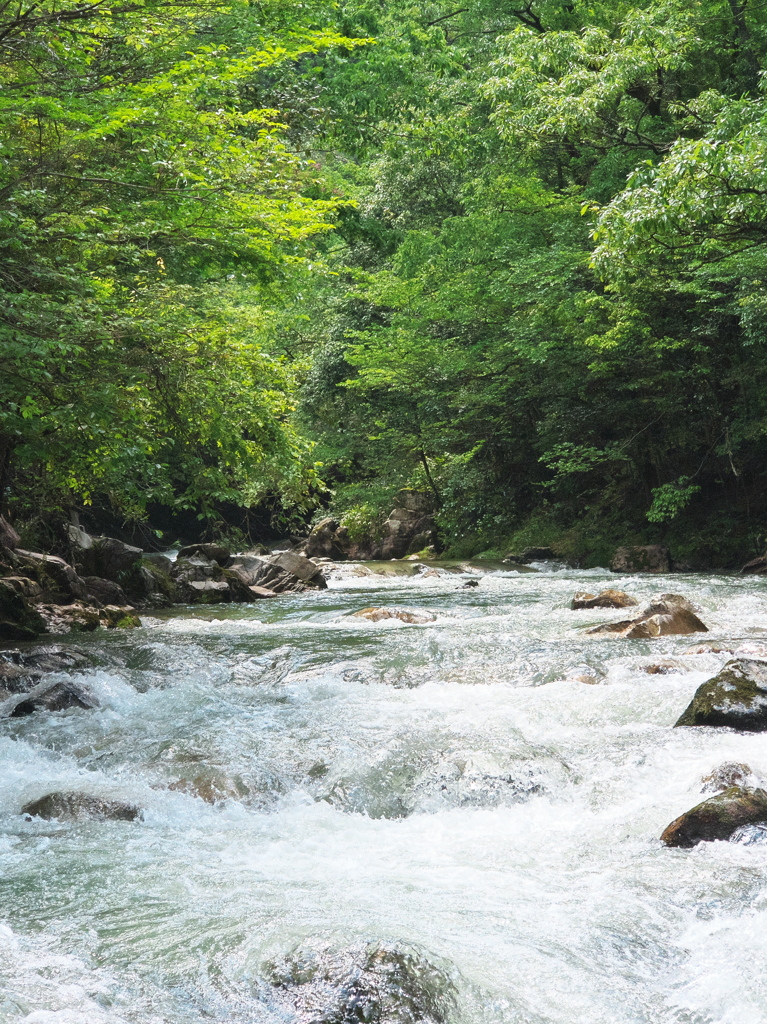 渓流