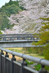 は撮るのがむつかしい6