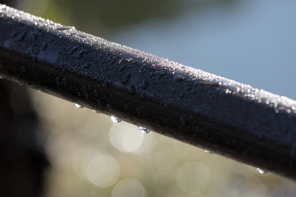 雪の降った翌日には