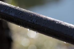 雪の降った翌日には