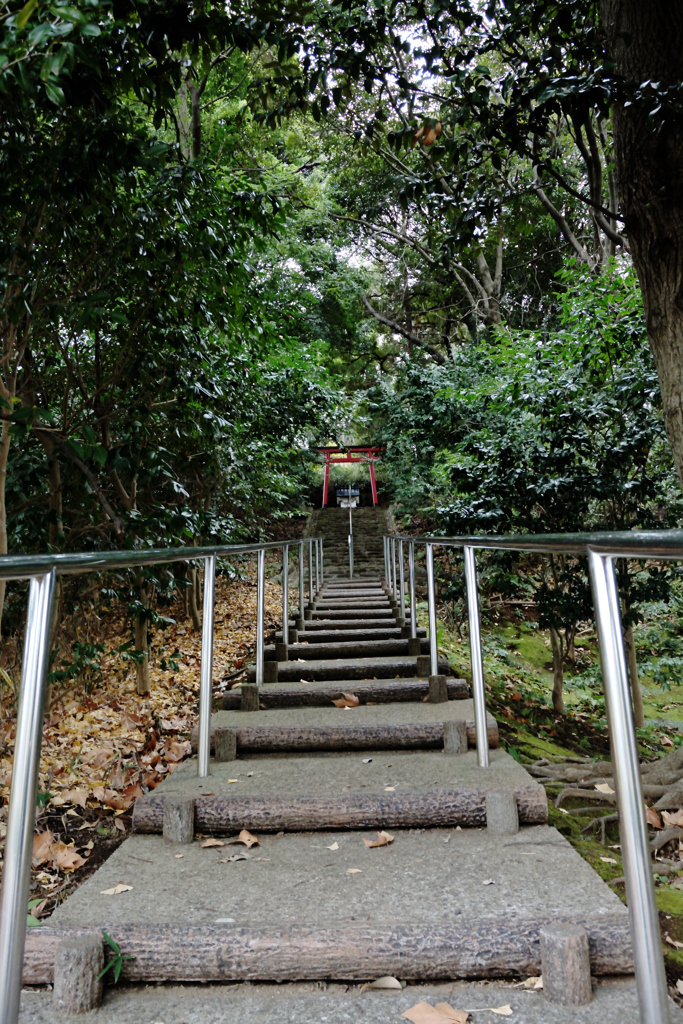 鳥居に向かう上り階段