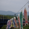 そよ風と鯉のぼり