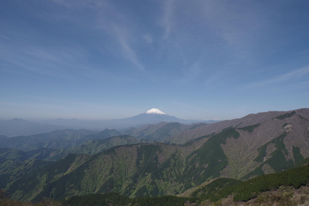 丹沢からの富士山