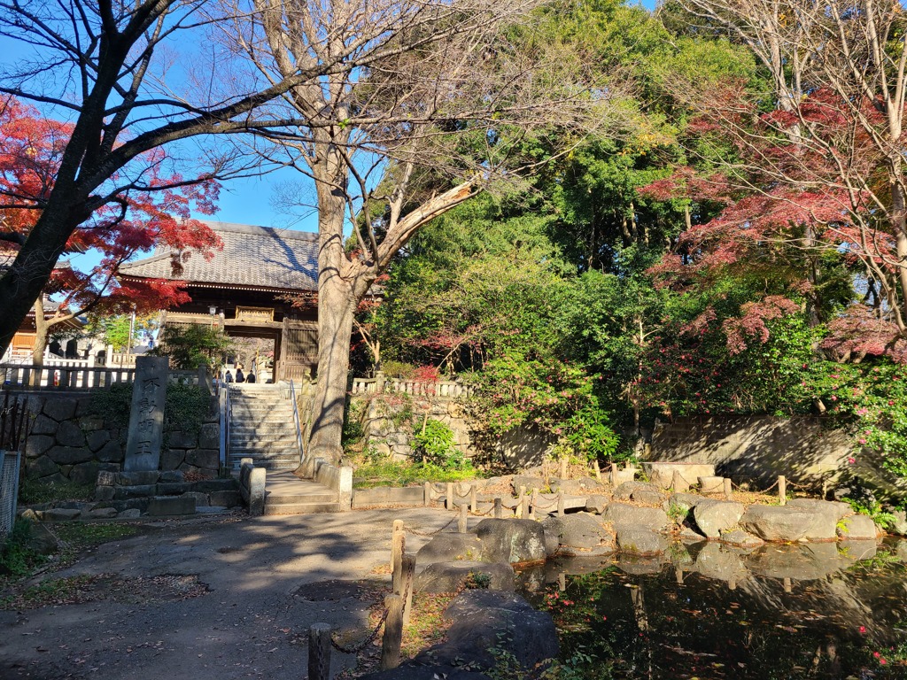 弁天池と仁王門