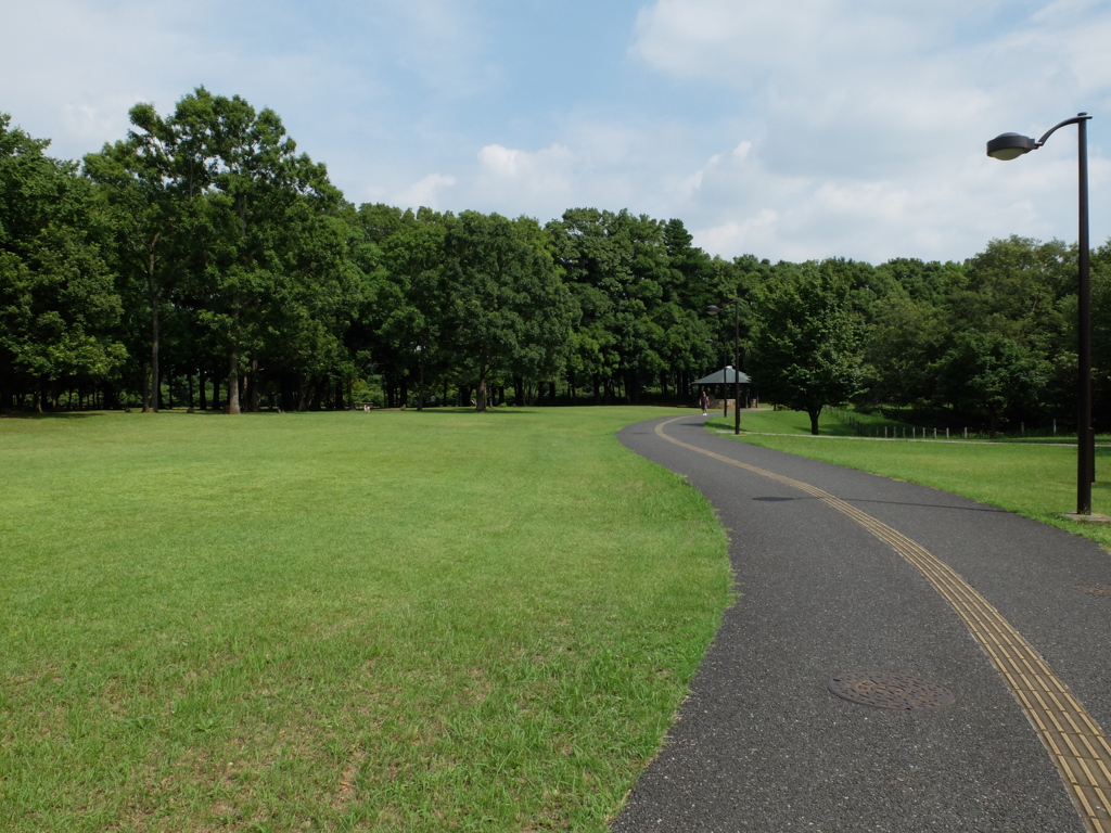 北総花の丘公園