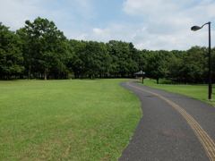 北総花の丘公園
