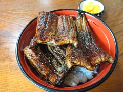 桝八川魚店の鰻丼