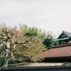 農家の春の軒先