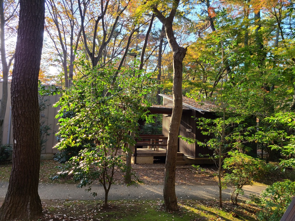 清水公園　バンガロー区