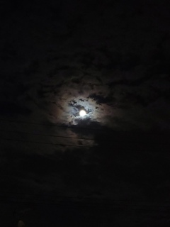 今宵の月